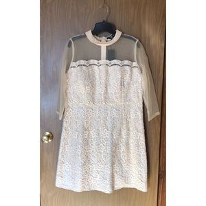Cream Lace and Mesh Dress with Collar